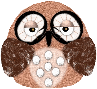 blinking owl
