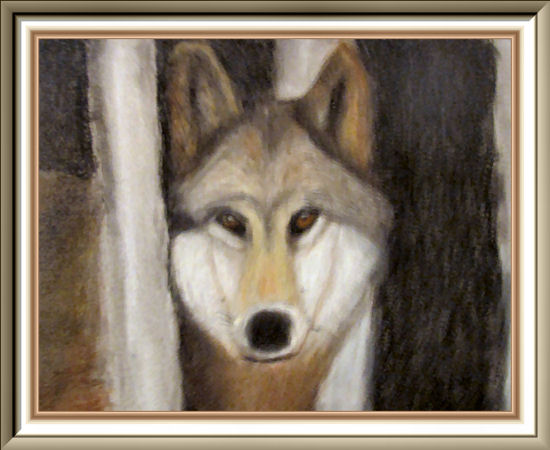 Wolf Watching, Pastel by Ben Boyle
